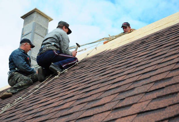 Quick and Trustworthy Emergency Roof Repair Services in Shannondale, WV